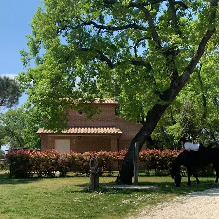 Casina Miriano Holiday home Castiglione del Lago